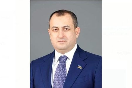Vitse-spiker koronavirus haqqında məqalə yazdı: "Gənclərə müraciət edirəm"