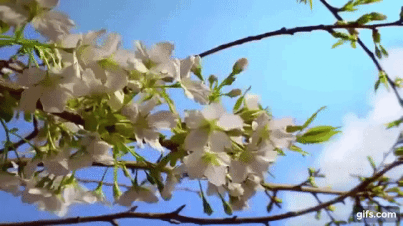 Sabah 14 dərəcə isti olacaq Ekologiya8 Aprel 2020 13:10