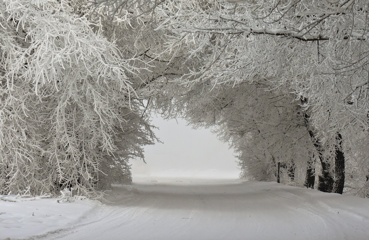 Nazirlikdən əhaliyə HAVA XƏBƏRDARLIĞI: temperatur kəskin dəyişir, leysan, qar gəlir