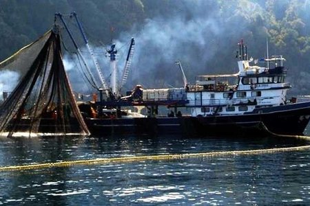 Afrikada girov vəziyyətində qalmış dörd dənizçimiz Vətəndən kömək gözləyir
