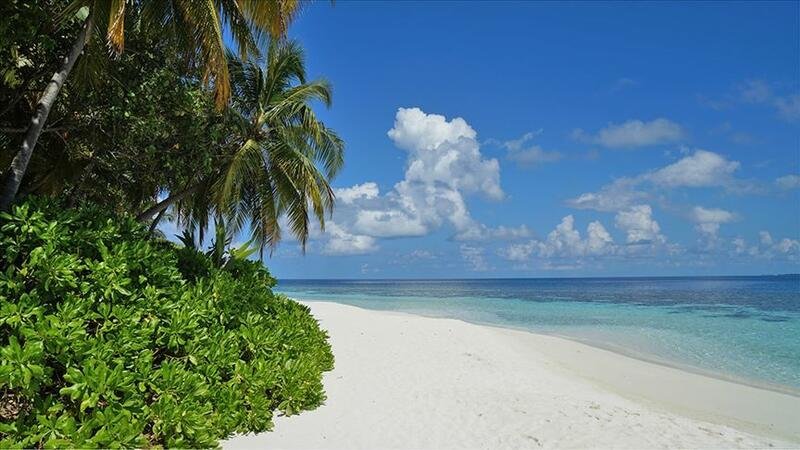 Daha bir ölkədə koronavirus pandemiyası başa çatdı