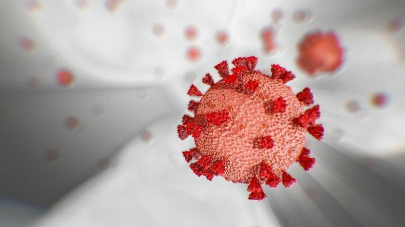 "Yayda virus yox olacaq" iddialarının mənşəyi tapıldı - Professor ŞAD XƏBƏRİ açıqladı