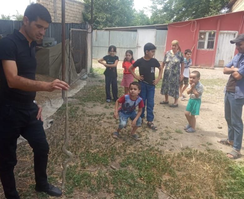 Tərtərə ilan basqını (foto)