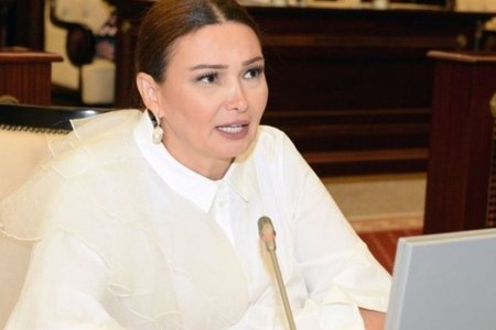 Qənirə Paşayeva: Su anbarlarımız milli sərəvətimizə çevrilir