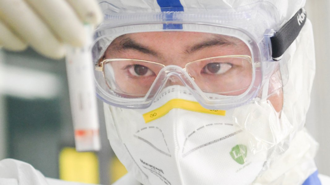 Soyuqdəymə bizi koronavirusdan necə qoruyur?