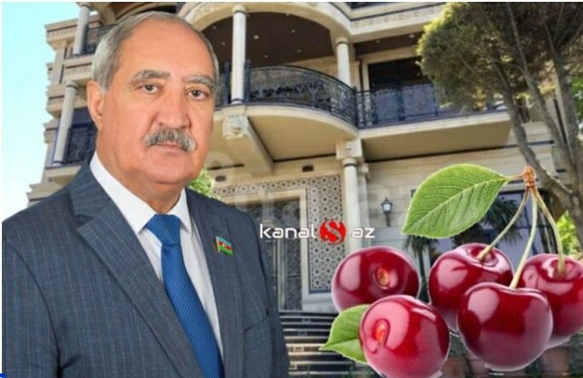 “Gilas ala bilmirəm…” deyən deputatın mülklərinin SİYAHISI