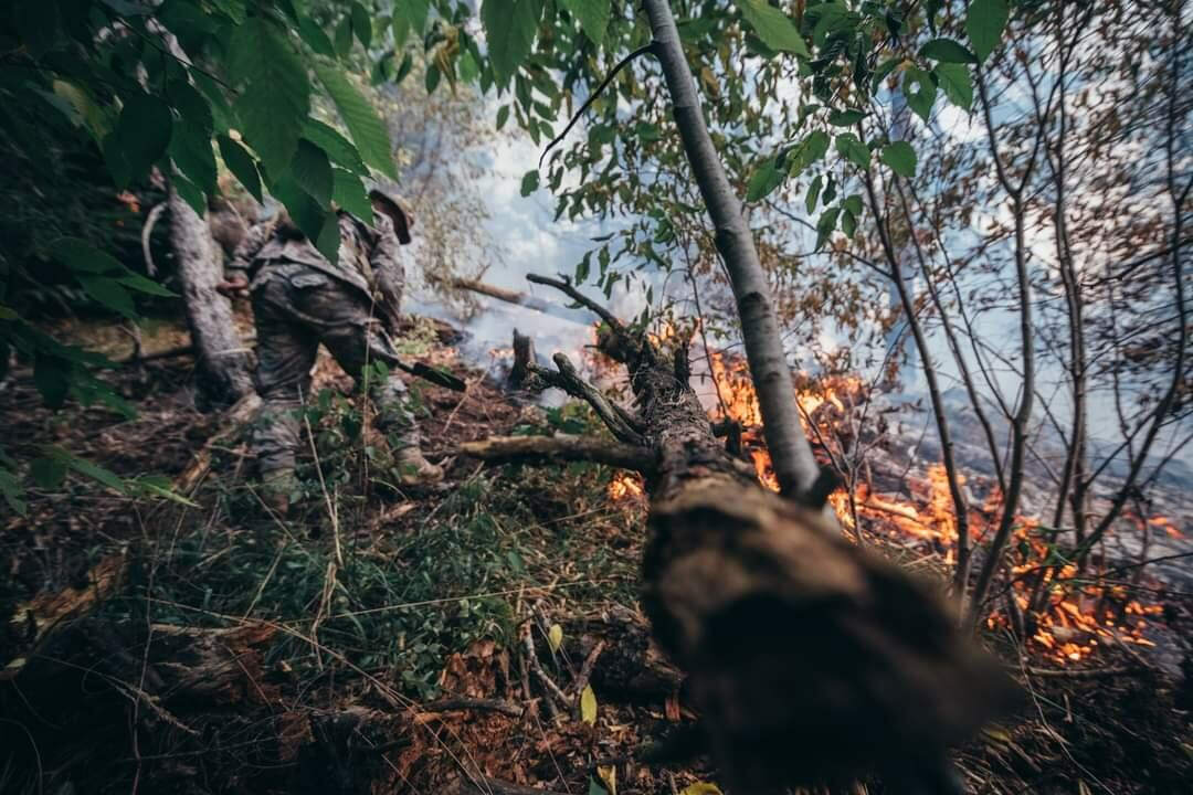 Qonşumuz meşə yanğınlarına nəzarəti itirdi