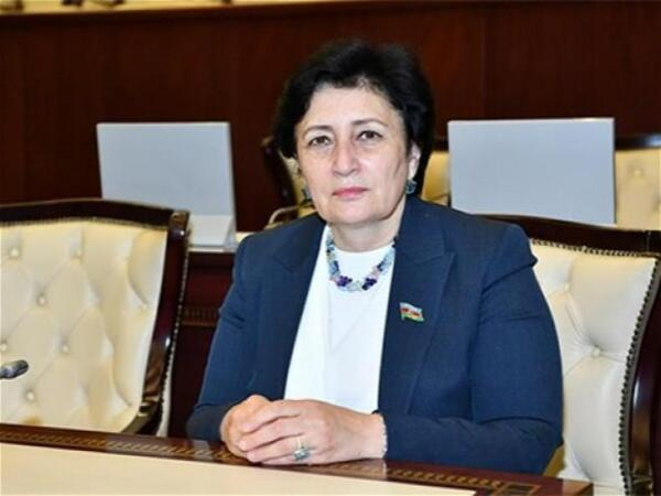 Heydər Əliyevin tikdirdiyi kitabxana dağılır" - Deputatdan çağırış