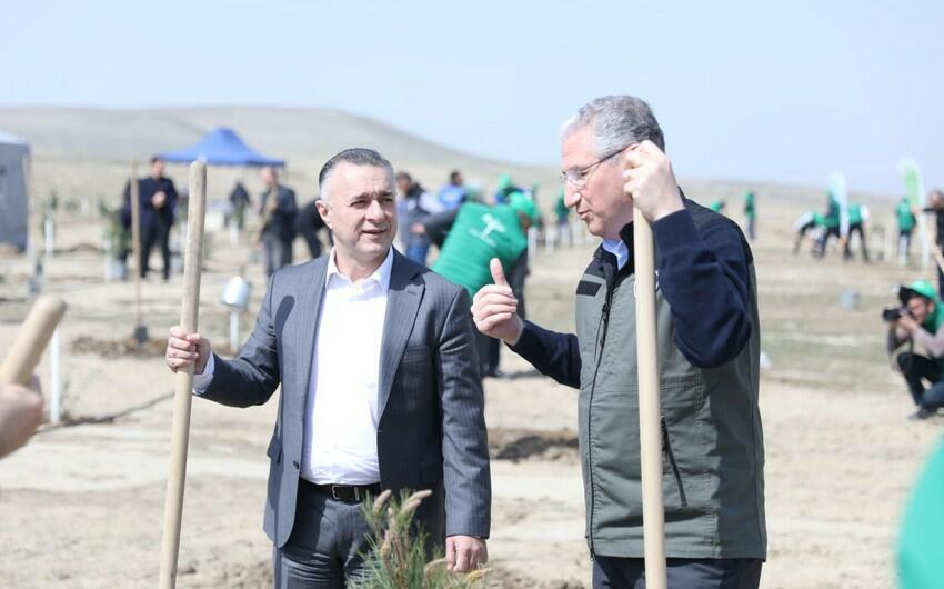 Heydər Əliyevin 100 illik yubileyi ilə əlaqədar ağacəkmə aksiyası keçirildi - FOTO