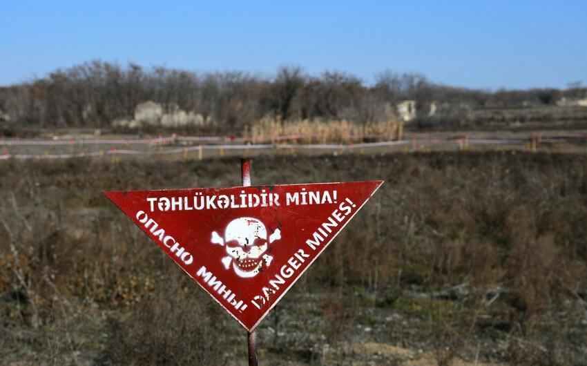 Avrasiya Mətbuat Fondunun əməkdaşı Tərtərdə minaya düşdü - Araşdırma aparılır