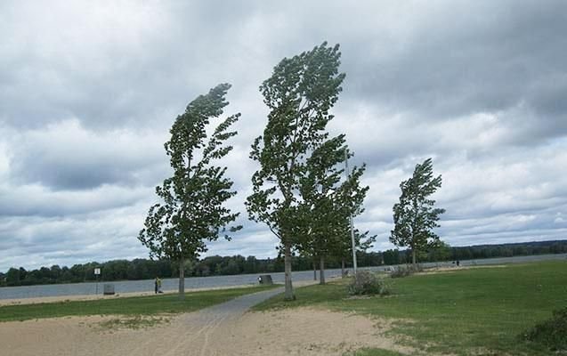 Həftəsonu hava yenidən DƏYİŞƏCƏK