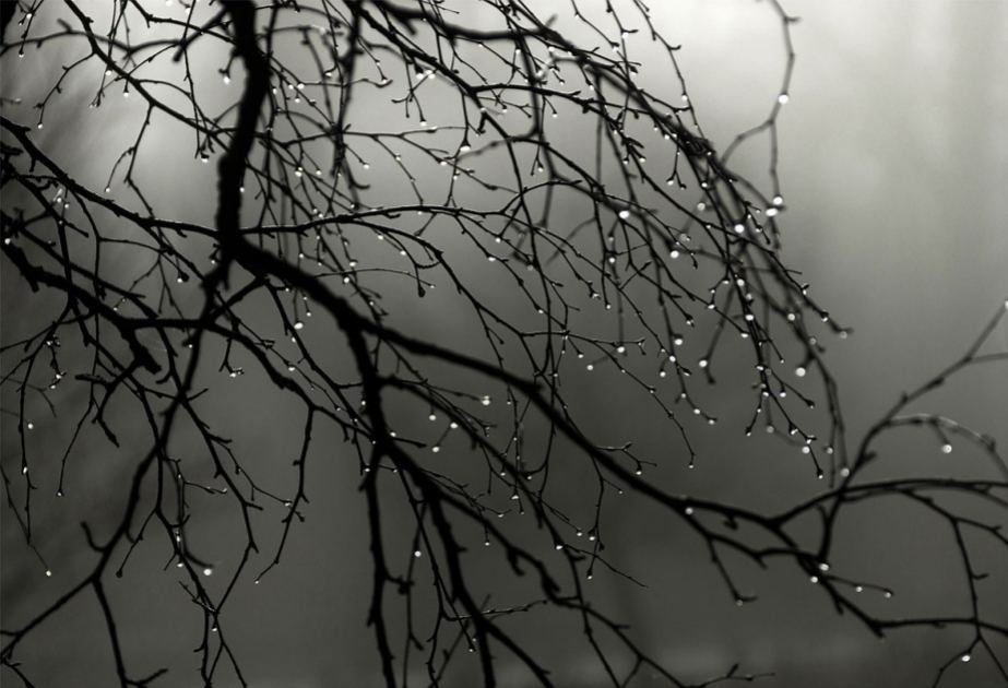 Hava şəraiti kəskin dəyişəcək, güclü külək əsəcək - XƏBƏRDARLIQ