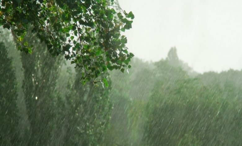 Şənbə günü hava necə olacaq?