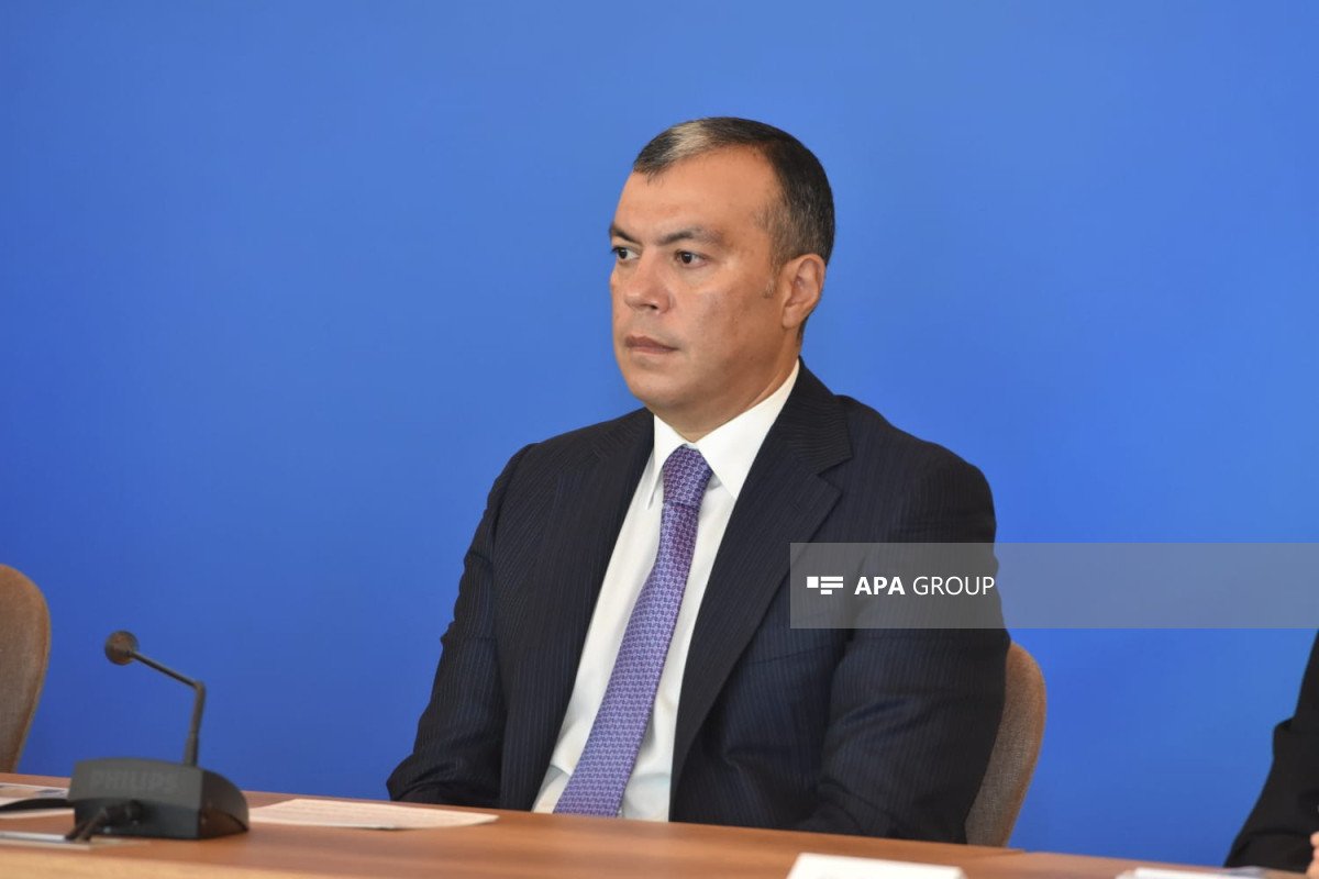 Sahil Babayev: Son beş ildə təqaüd alanların sayında böyük artım müşahidə edilib