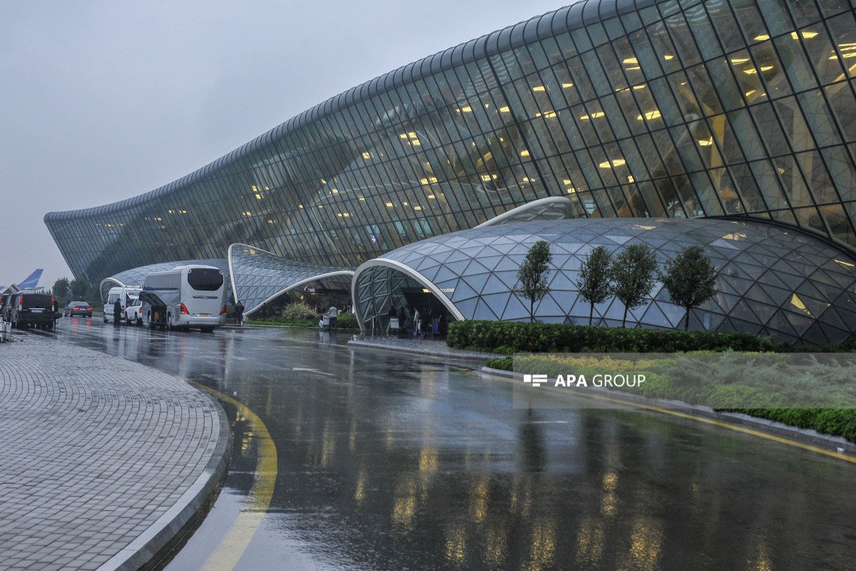 Nazir müavini: Naxçıvana uşuşlar üçün subsidiya zərərinin 1/6-ni etmir