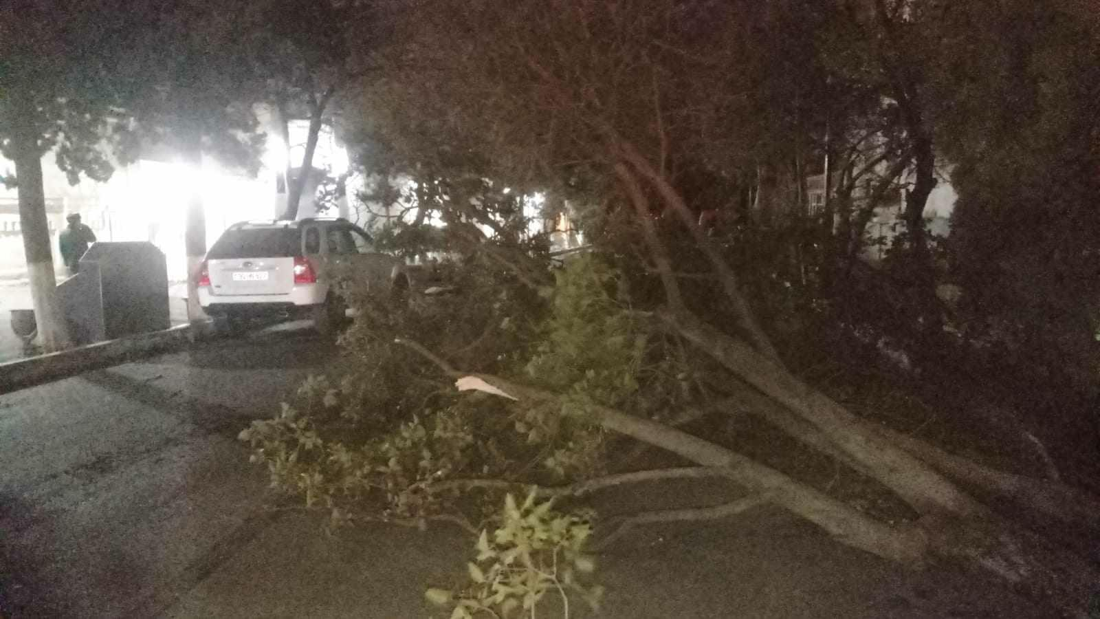 Qərb bölgəsində güclü külək tüğyan edir: ciddi fəsadlar var - FOTO