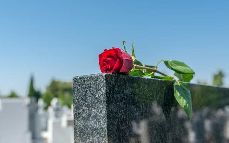 Bakı qəbirstanlığında dəhşətli mənzərə - Xəstəlik riski də var - VİDEO