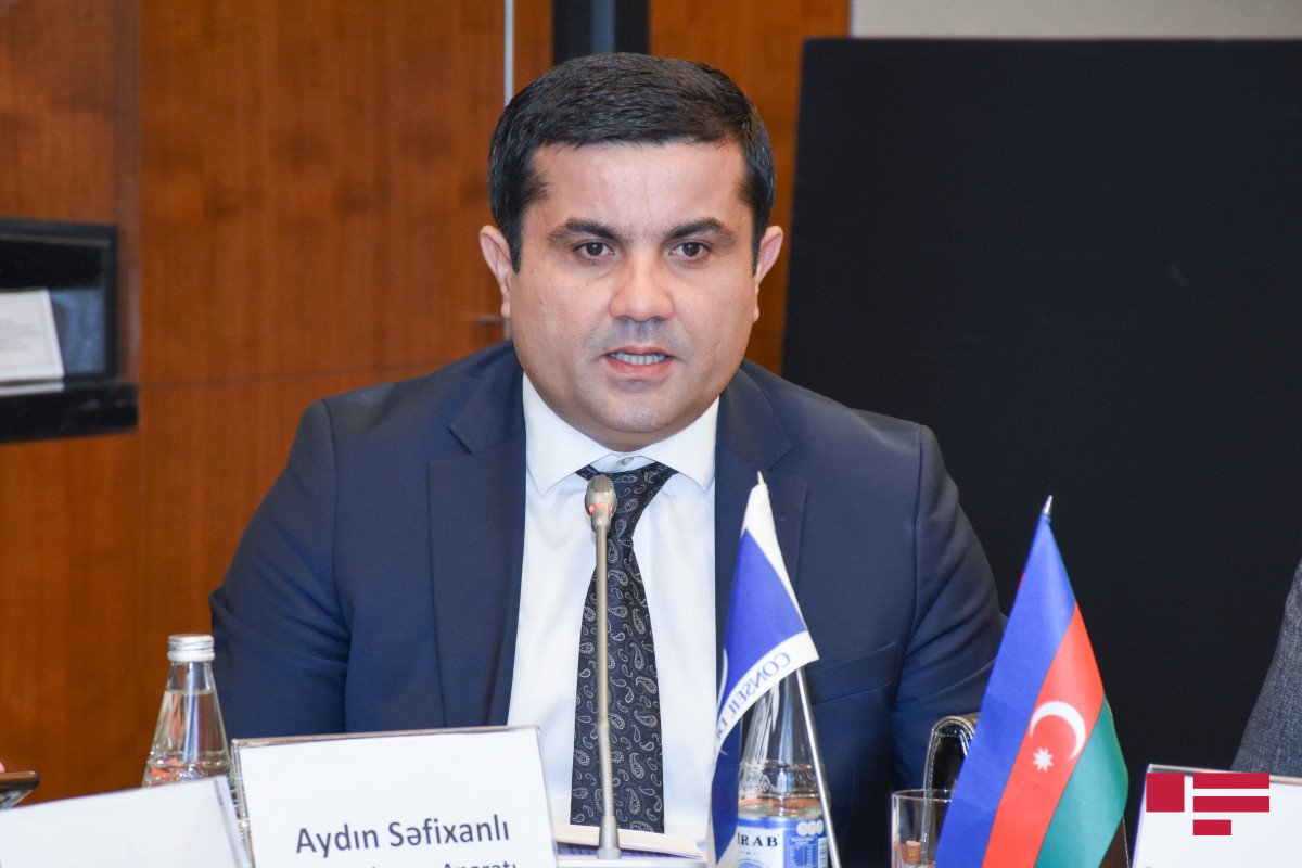 Ombudsman Aparatının rəhbəri əlilliyin qiymətləndirilməsi sahəsində problemi açıqlayıb