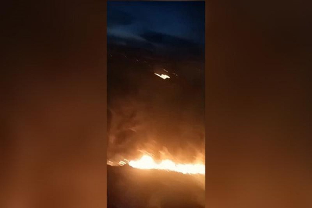 Türkiyədə meşə yanıb