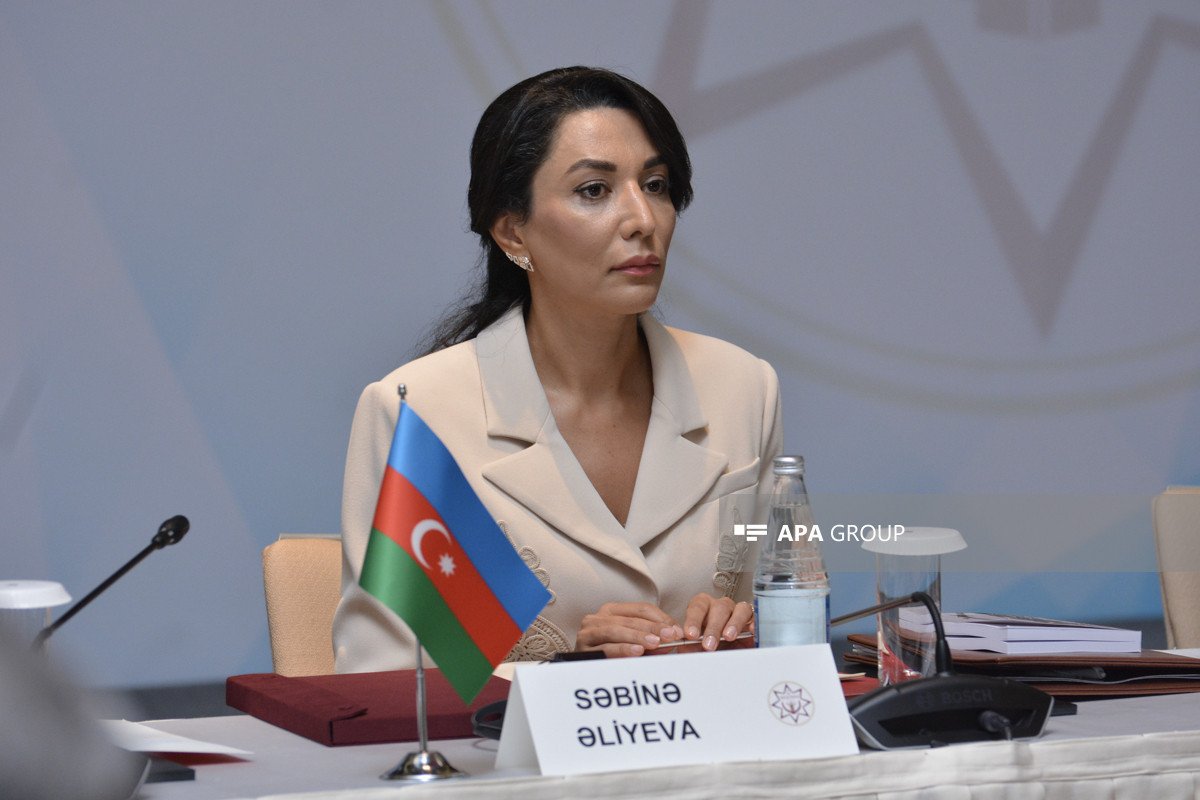 Ombudsman: Mina xəritələrinin Azərbaycana verilməsi üçün beynəlxalq ictimaiyyət Ermənistana təzyiq göstərməlidir
