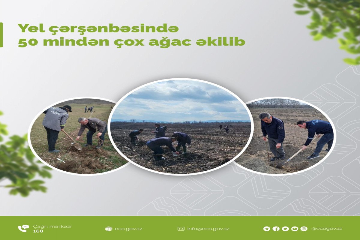 Yel çərşənbəsində 50 mindən çox ağac əkilib