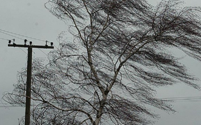 FHN hava şəraiti ilə bağlı əhaliyə müraciət edib