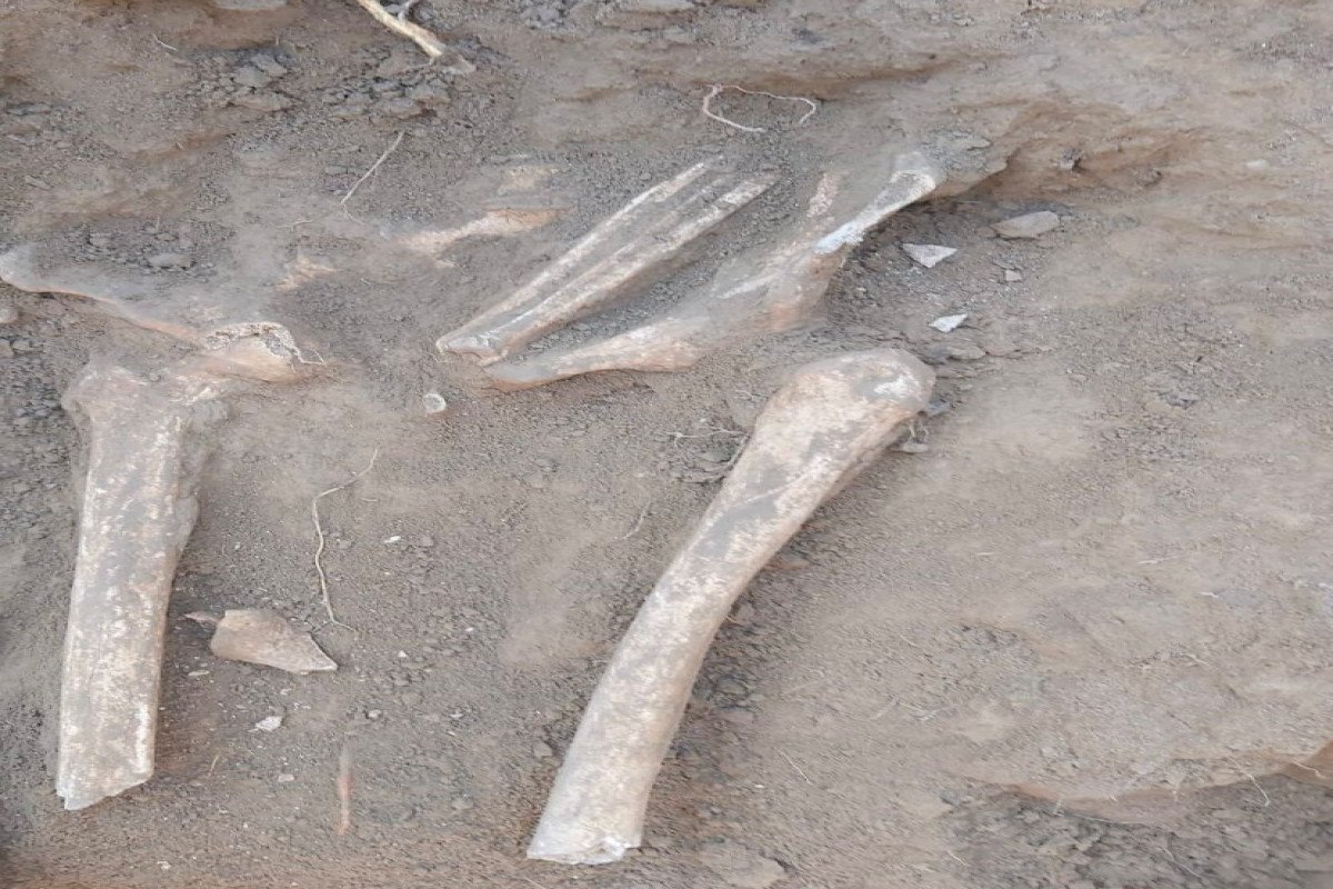 Xocalıda insan qalıqları aşkar edilib
