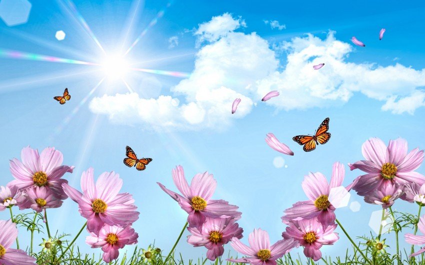 Sabah havanın temperaturu 27 dərəcəyədək artacaq