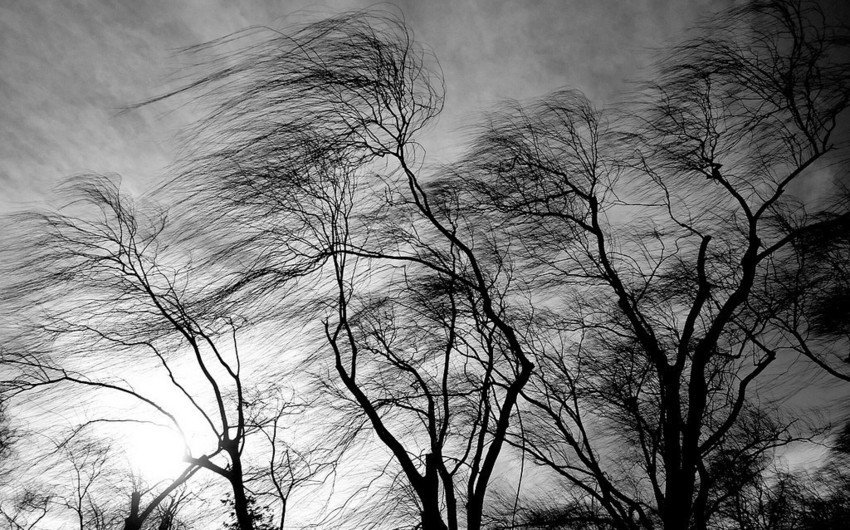 Faktiki hava: Ölkə ərazisinin bəzi yerlərində güclü şimal-qərb küləyi əsir