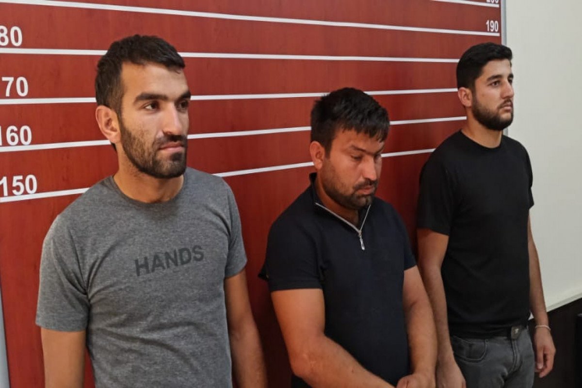 Hacıqabulda altı fermadan oğurluq edən dəstə saxlanılıb