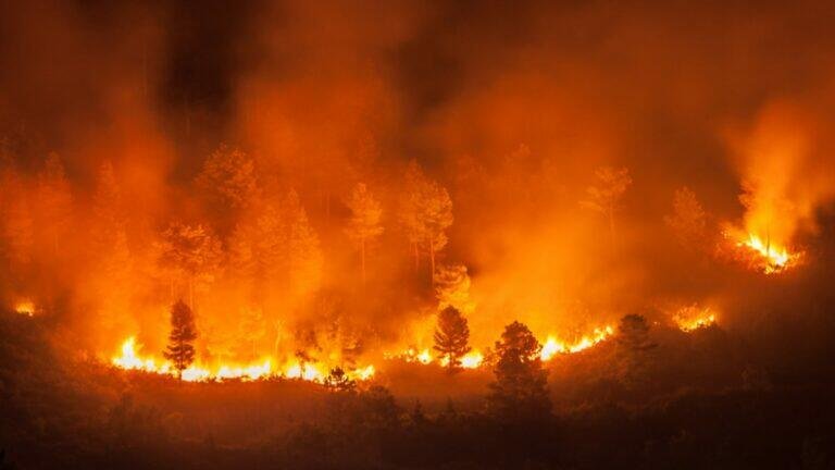 Türkiyədə GÜCLÜ YANĞIN: ölən və xəsarət alanlar var