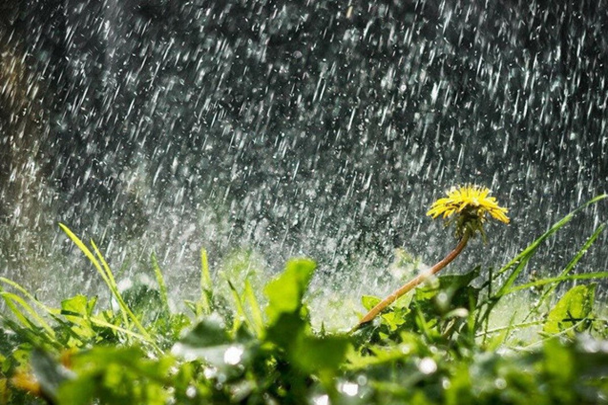 Şənbə günü leysan yağacaq, dolu düşəcək - PROQNOZ