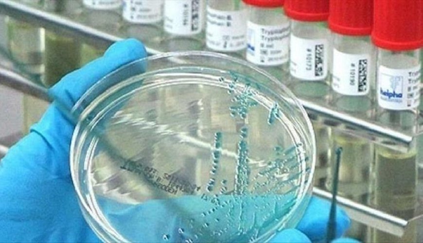 Bu virus dünyada sürətlə yayılır: artıq 13 ölkə...