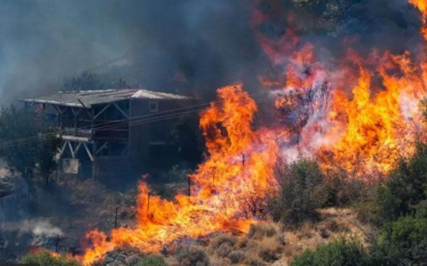 İzmirdə meşə yanğını yaşayış evlərinə çatıb, sakinlər təxliyə olunur