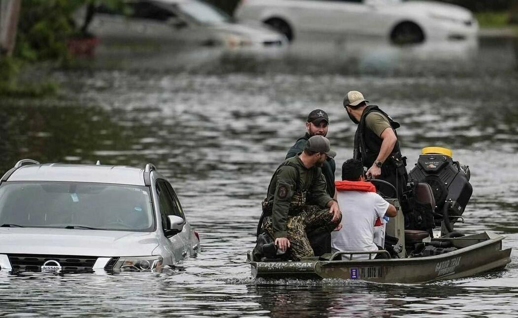 Florida küçələrini timsahlar basdı