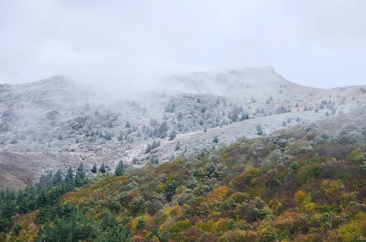 Laçın ağ örpəyə büründü - FOTOLAR