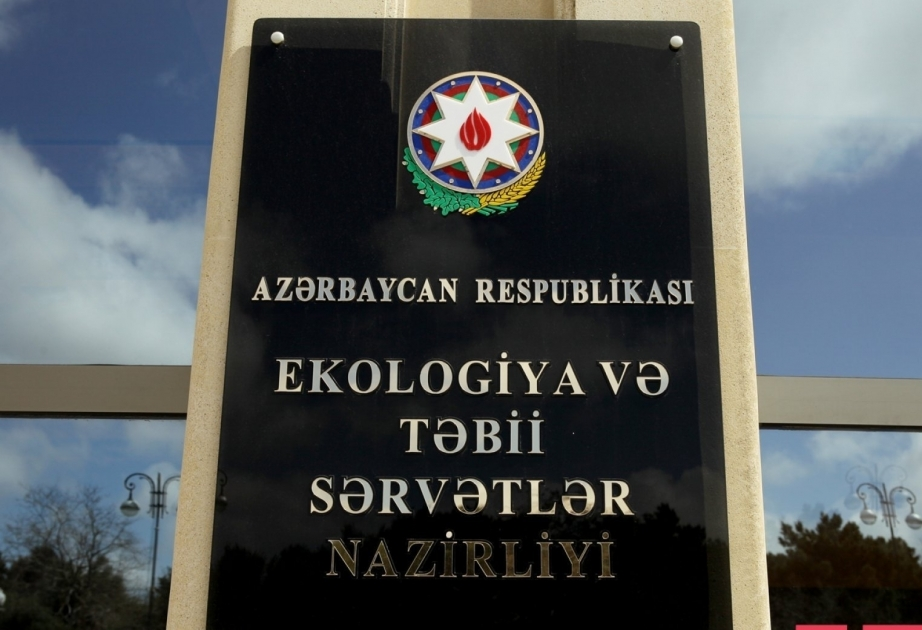 Ekologiya və Təbii Sərvətlər Nazirliyinin küçədə itirilmiş sənədinə sahib çıxan olacaqmı? FOTO
