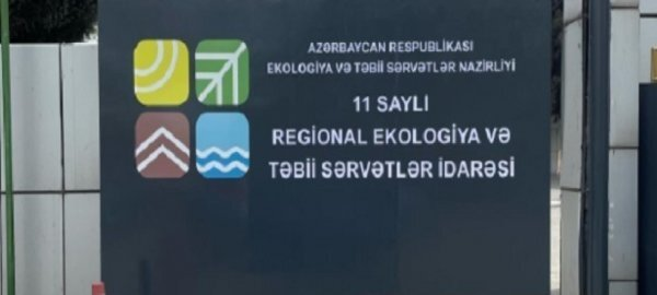 "Ləvəngi" restoranının yanıda ağaclar kəsildi, yerində klinika tikilir: 11 saylı RETSİ rəsi "yaşıl terror"a nədən alət olur?