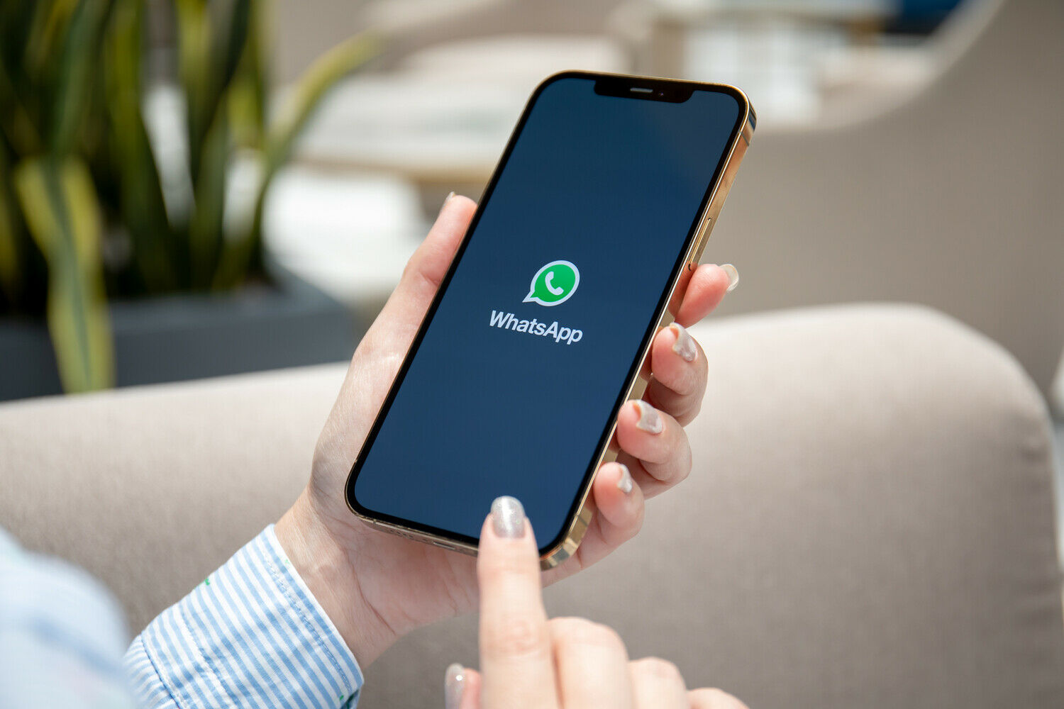 Çoxdan gözlənilirdi - "WhatsApp"da yeni funksiya
