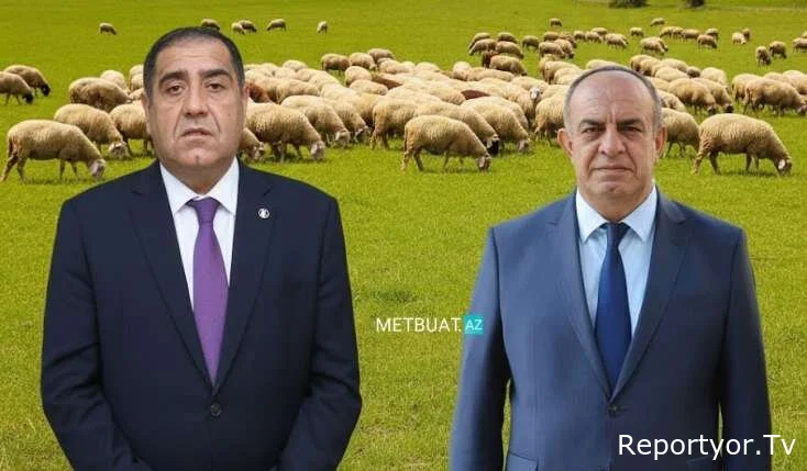 Həbs edilən icra başçıları 15 min baş qoyuna şərik imiş