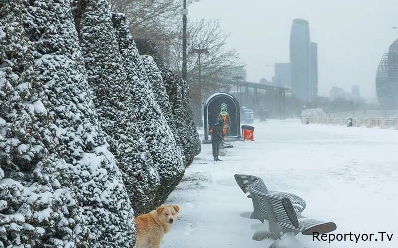 Bakıda güclü qar gözlənilir? - hazırlıqlar başladı