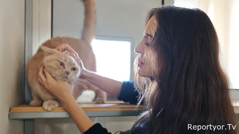 Leyla Əliyeva IDEA Heyvanlara Qayğı Mərkəzində oldu - Fotolar