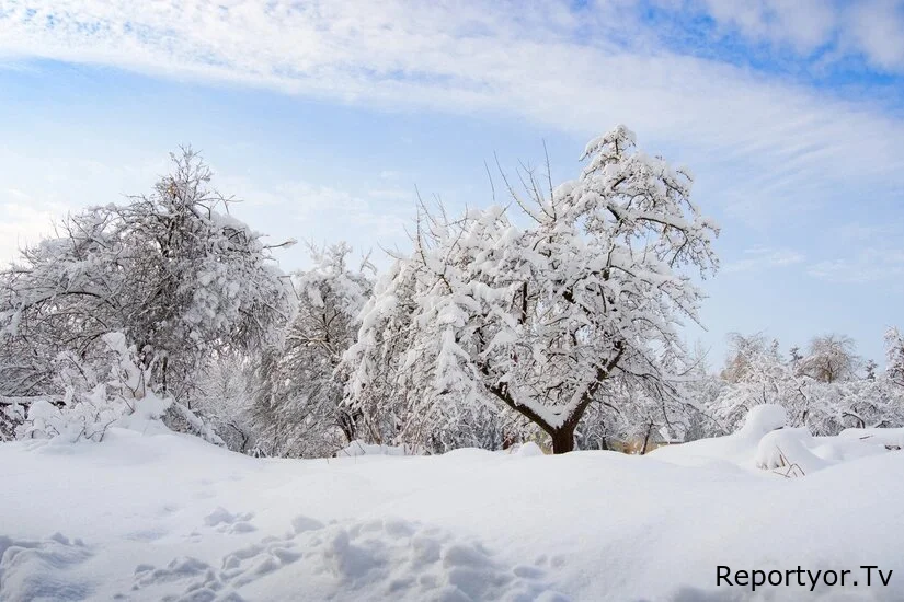 Bu ərazilərə qar yağır - FAKTİKİ HAVA