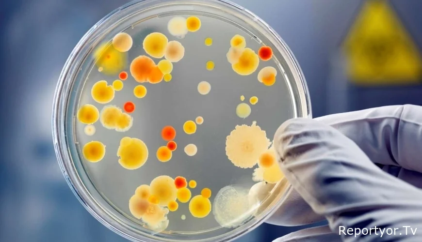 Ölümcül VİRUS sürətlə yayılır – Professordan XƏBƏRDARLIQ