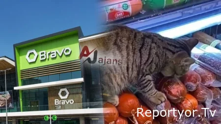 “Bravo”da antinatitar vəziyyət: Ətlərin dadına birinci pişik baxır-Video