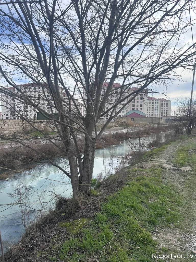 Ramana qəsəbəsində kommunal problemlər: nə baş verir və kim cavabdehdir?