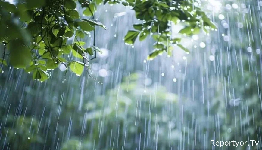 Yağış, külək, QAR - SON DƏQİQƏ XƏBƏRDARLIĞI