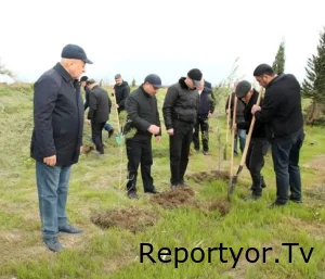 Ağcabədinin icra başçısının barəsində inanılmaz faktlar yazıldı və…