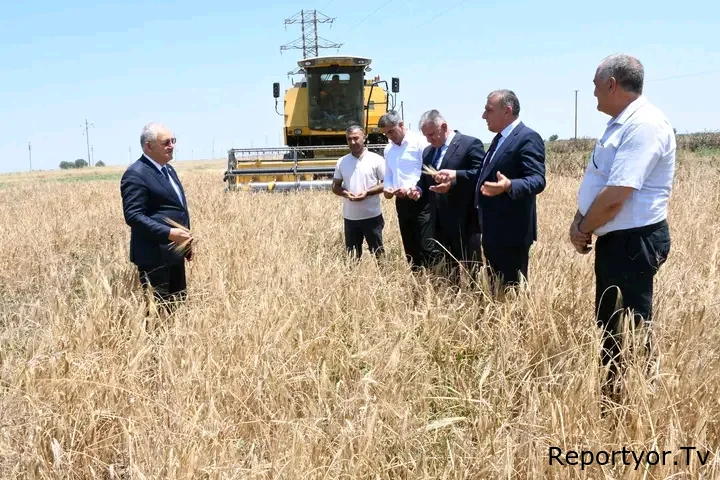 Ağdam Rayon İcra Hakimiyyətinin başçısı Vaqif Həsənov rayon ərazisində arpa sahəsində biçin işlərinin gedişi ilə tanış olub